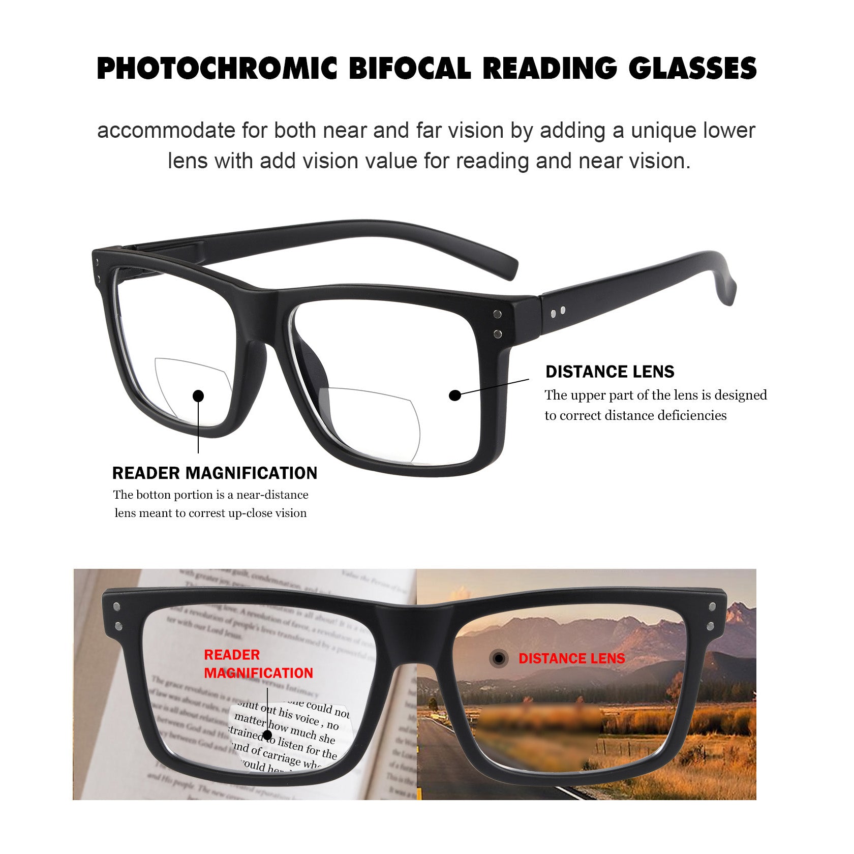 Photochromic Transition Bifocal Readers BSBR2142